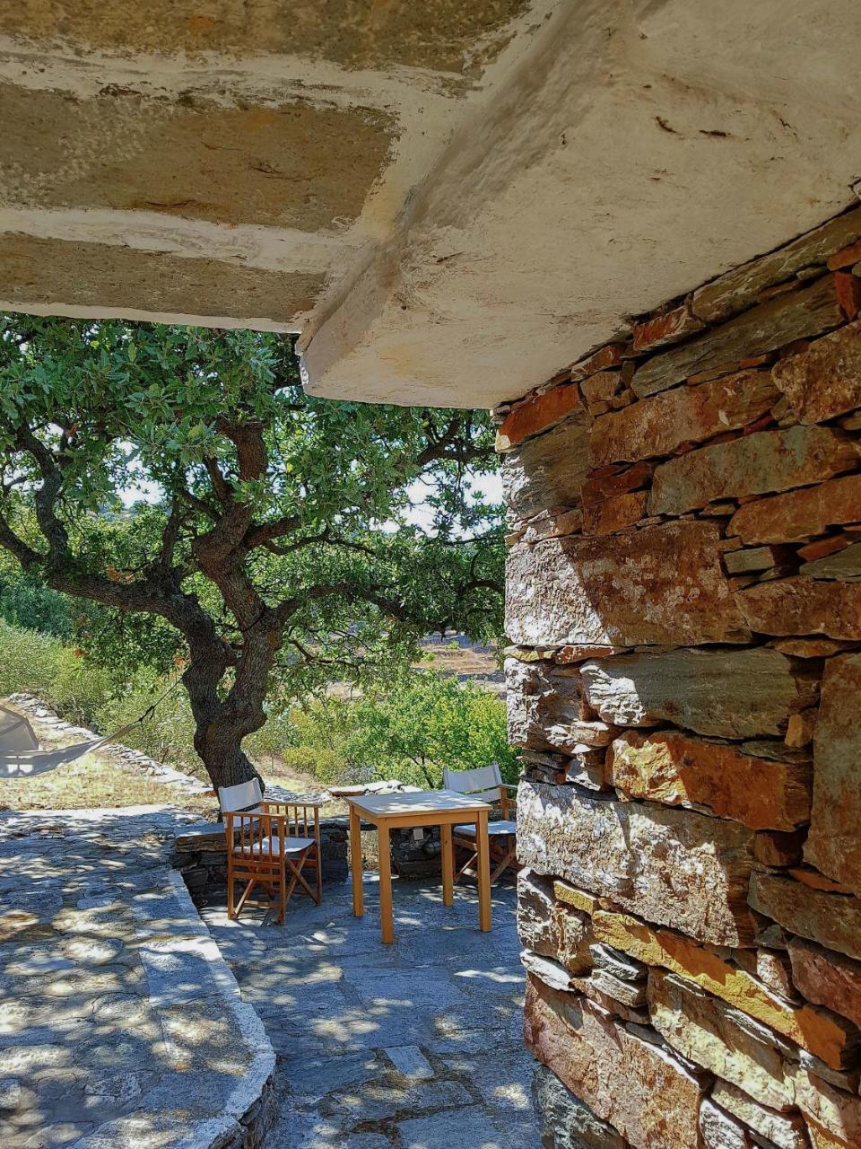 Villa Under Royal Oaks Pera Meria Exterior foto